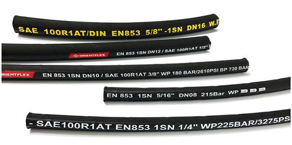 SAE R1 (24).jpg SAE R1 (24).jpg